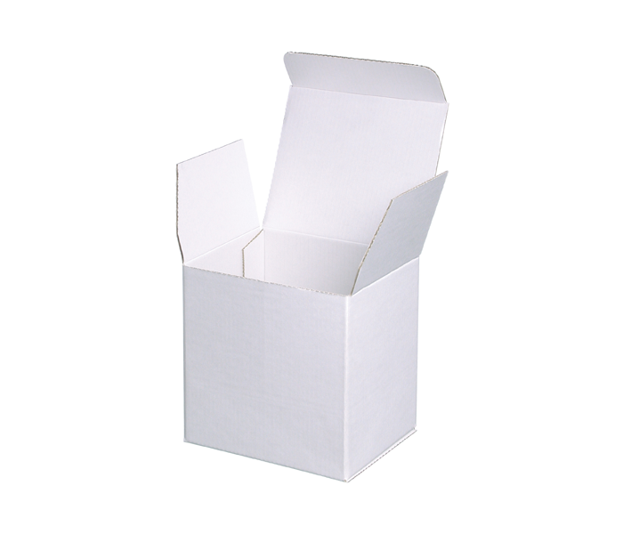 Polystyrene Mailer Box Polystyrene Mailer Box